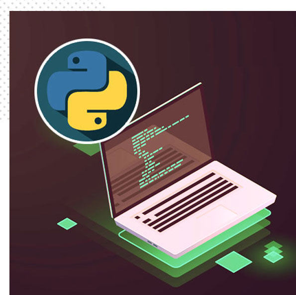 Python developer Training