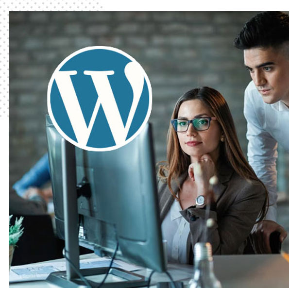 WordPress developer Training